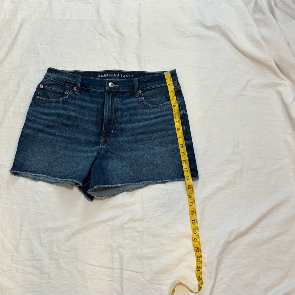 American Eagle Strigid Relaxed Denim Shorts Size 12/31 High Rise Frayed Hem J2Y - Picture 3 of 9